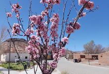 Museo del Hombre景点图片