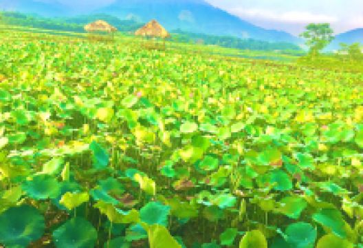 Đầm Vân Hội景点图片