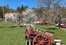 Art of Veda购物图片