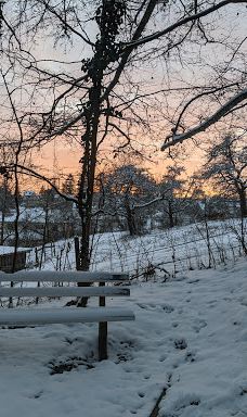 Aulendorf Park-奥伦多夫