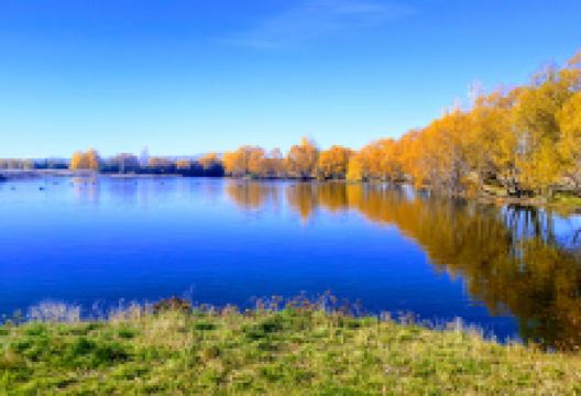 Lake Poaka Campsite景点图片