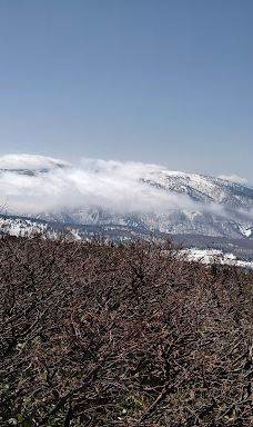 八甲田连峰树冰-青森