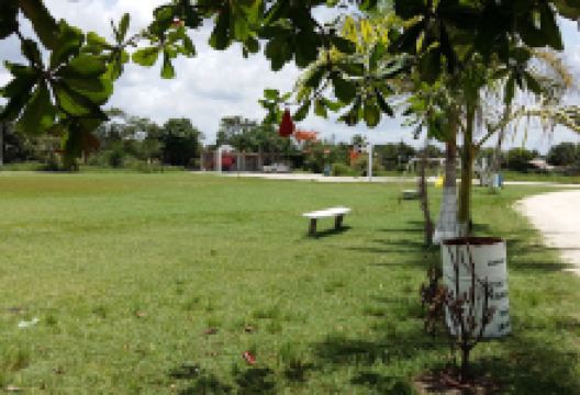 Park, Playground, Football, Basketball景点图片