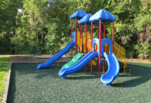 Waterloo Park District景点图片