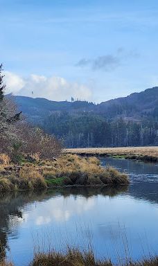 Alder Island Nature Trailhead-林肯县