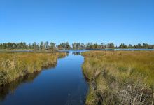 Bark Bay Slough State Natural Area景点图片