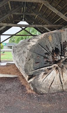 Valentine Park-坎贝尔镇