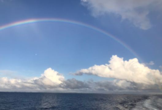 Black Coral Wall Dive Site景点图片