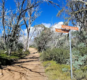 Bindaree Falls