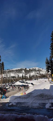 Sugar Bowl Resort-普莱瑟县