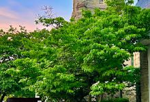 St James Episcopal Church景点图片