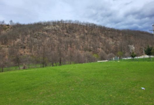 Shullani Kodra景点图片