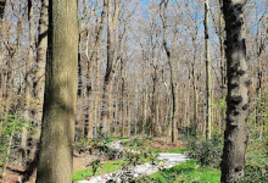 De Gaaikemabank景点图片