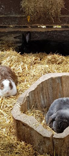 Freiberg Zoo-Mittelsachsen