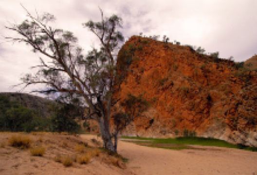 N'Dhala Gorge景点图片