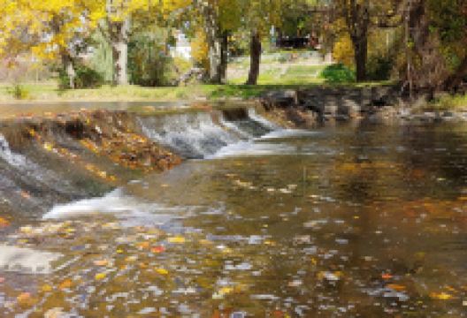 Yale City Park景点图片