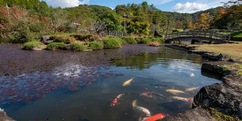矢野温泉公園四季の裏