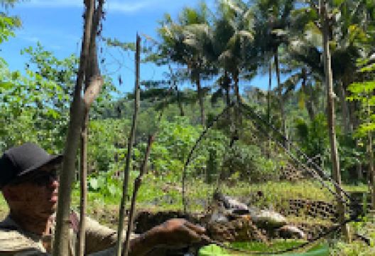 Pemancingan Mbah Leman景点图片