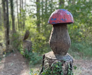 Bosque Animado