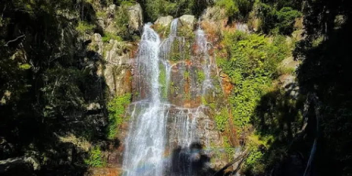 Minnamurra Falls