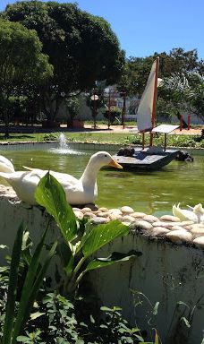 Bosque das Mangueiras-纳塔尔