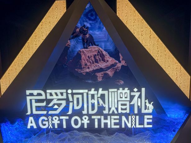 南越王博物院景点图片 24