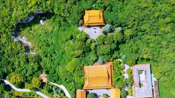 嘉禾普濟寺