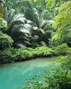Bantimurung Waterfall-马罗斯县