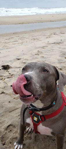 Ditch Plains Beach-蒙托克