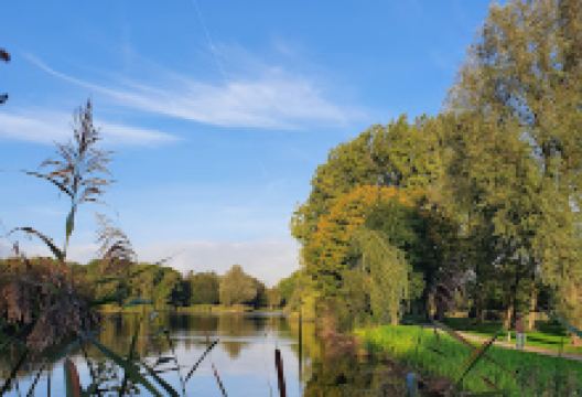 Noordsterpark景点图片