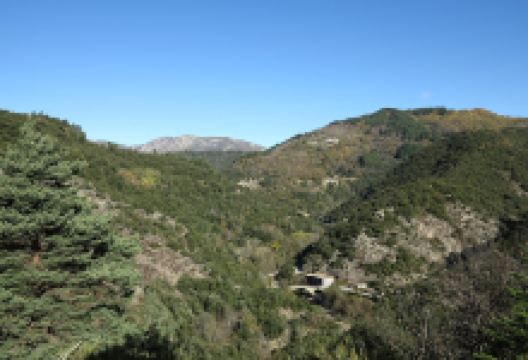 塔纳格景点图片