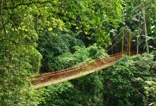 Jardin Botanico del Quindio景点图片