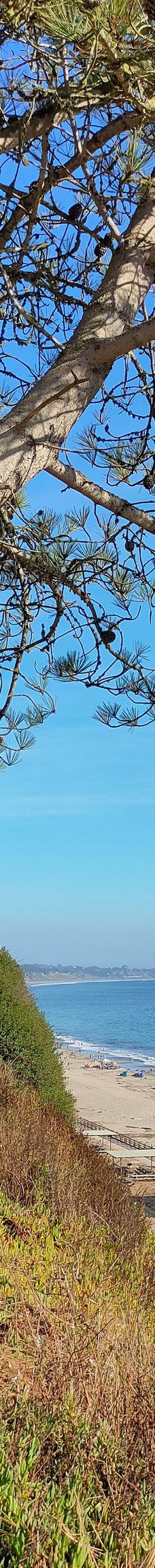 Seacliff State Beach-阿普托斯