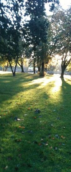 Albert Park-米德尔斯堡