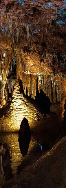 Jama - Grotta Baredine-Gedici