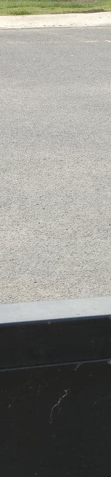 坎尼特河沿岸考拉步行道-Kennett River