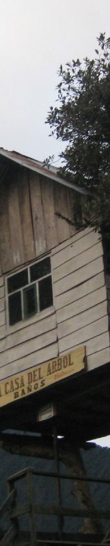 La Casa del Arbol-巴尼奥斯县