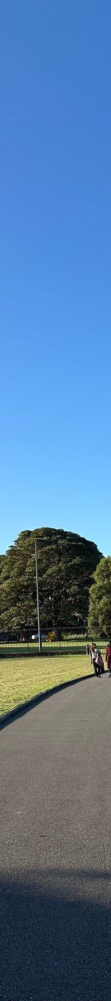 悉尼皇家植物园-悉尼