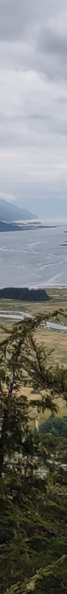 Glacier Gardens Rainforest Adventure-朱诺