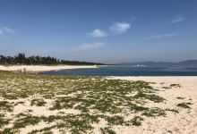 Yumigahama Beach景点图片