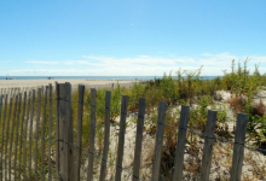 Poverty Beach景点图片