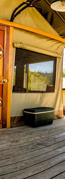 Safari West-圣罗莎