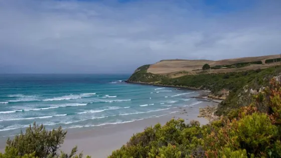 Great South West Walk