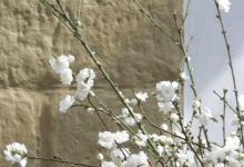 Galleri Emmaus景点图片