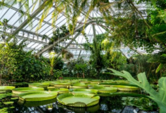 Plantentuin / Jardin Botanique景点图片