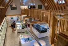 Newfoundland Insectarium景点图片