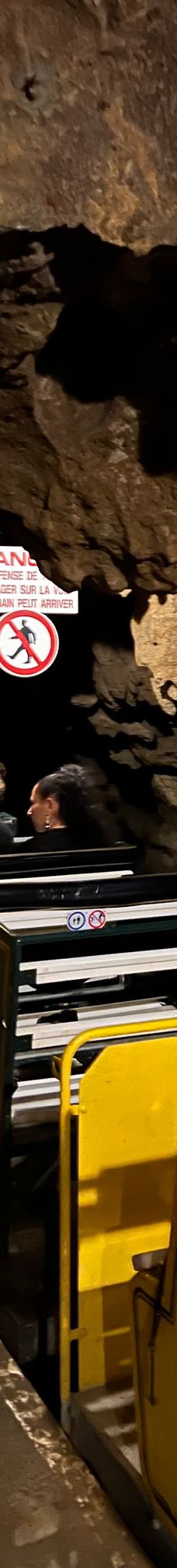 Grottes de Betharram-圣佩德比戈尔