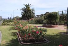 Morwell Centenary Rose Garden景点图片