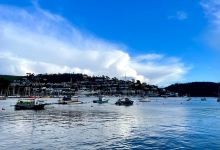 Dart Harbour景点图片