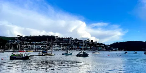 Dart Harbour
